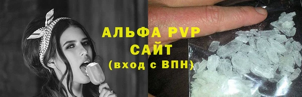 стаф Елабуга