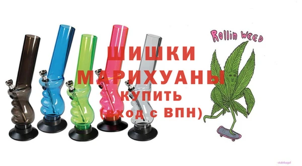 прущие грибы Ельня