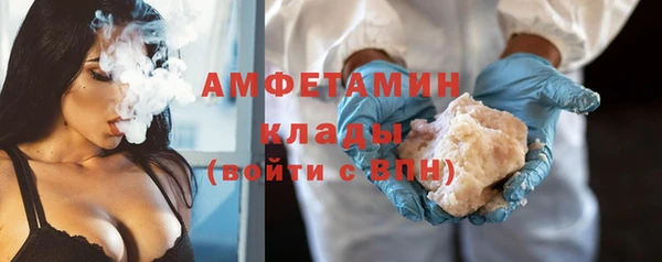 прущие грибы Ельня