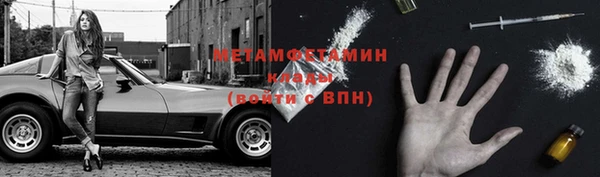 прущие грибы Ельня