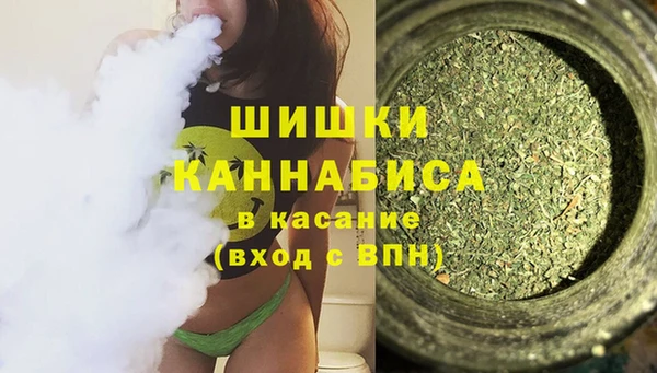 стаф Елабуга