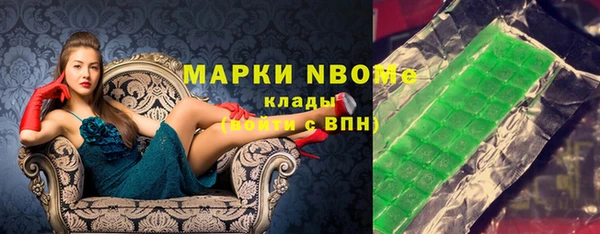 прущие грибы Ельня