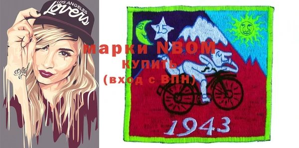 прущие грибы Ельня