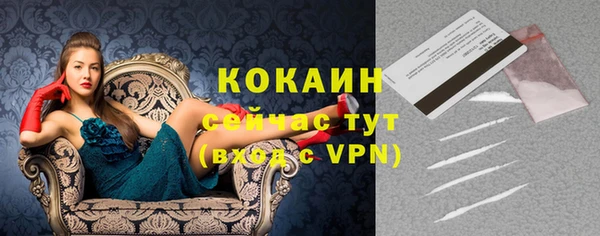 прущие грибы Ельня