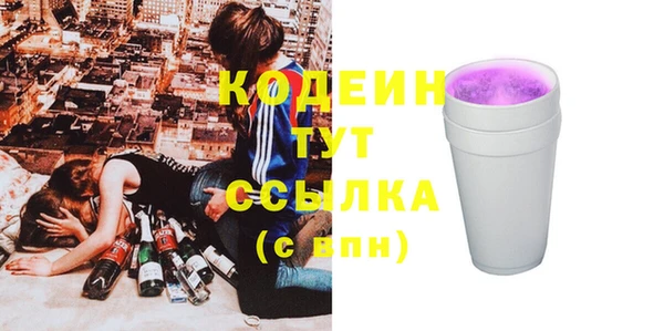прущие грибы Ельня