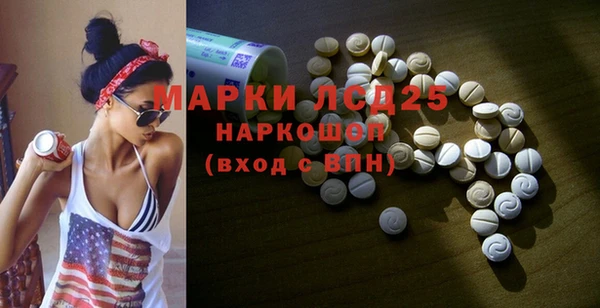 прущие грибы Ельня