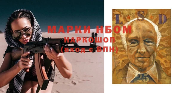 прущие грибы Ельня