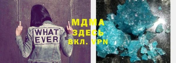прущие грибы Ельня