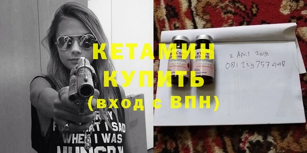 прущие грибы Ельня