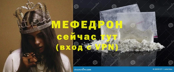 прущие грибы Ельня