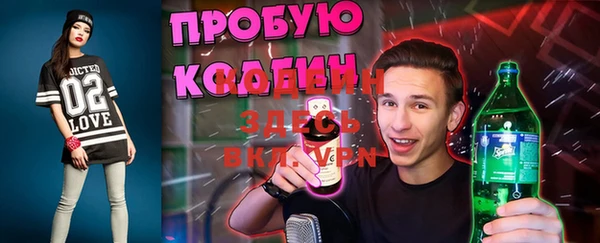 прущие грибы Ельня