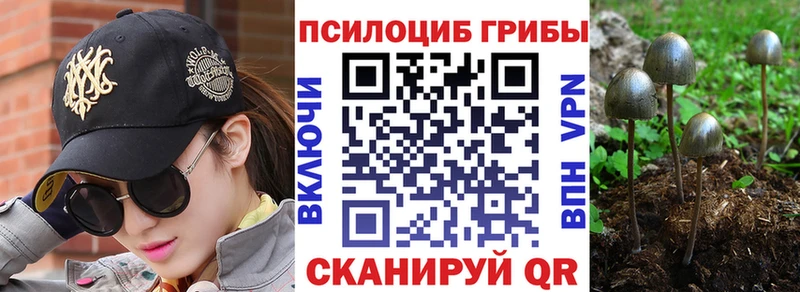 Галлюциногенные грибы Cubensis  Купить закладки  Нижний Ломов 